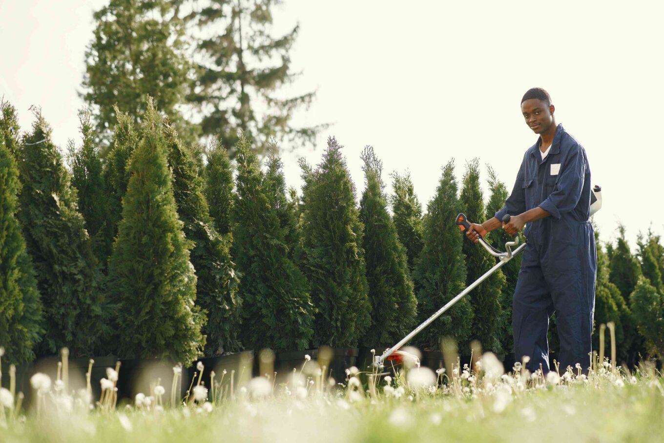 How to Start Lawn Care Business and Best Tips for Starting
