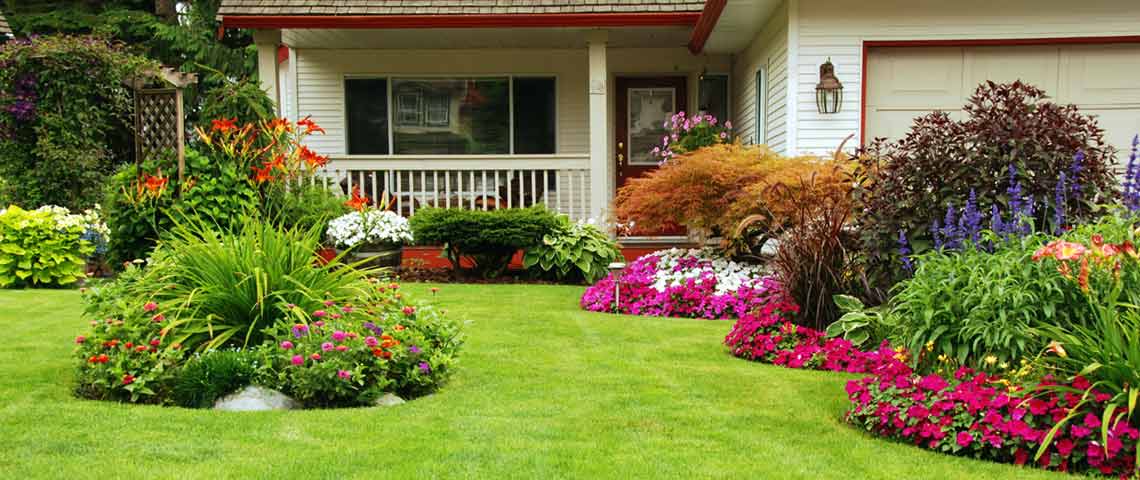 What is lawn care landscaping and what is the difference between lawn care and landscaping?
