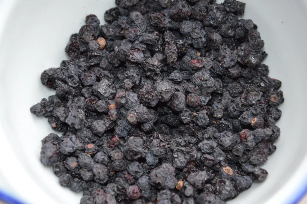 Blackberry Dry Fruit & Dried Blackberries Benefits & Prices