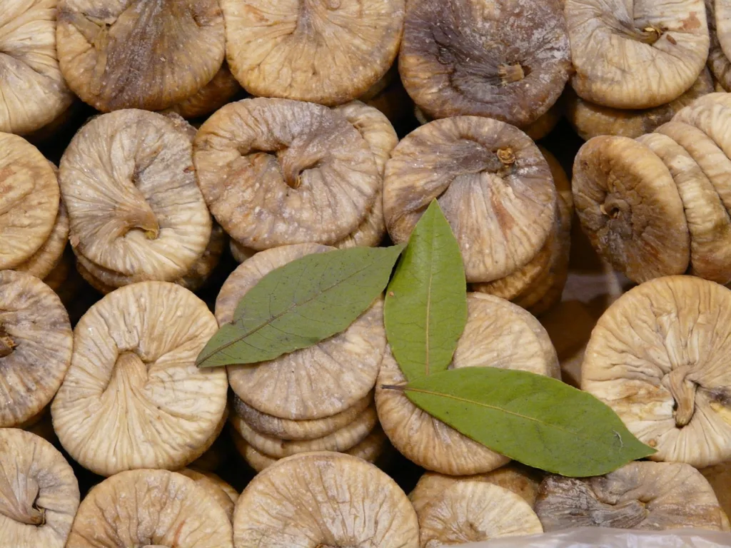 dried fig
