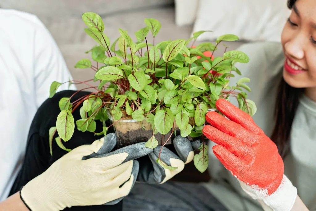 Gardening Gloves and its Uses
