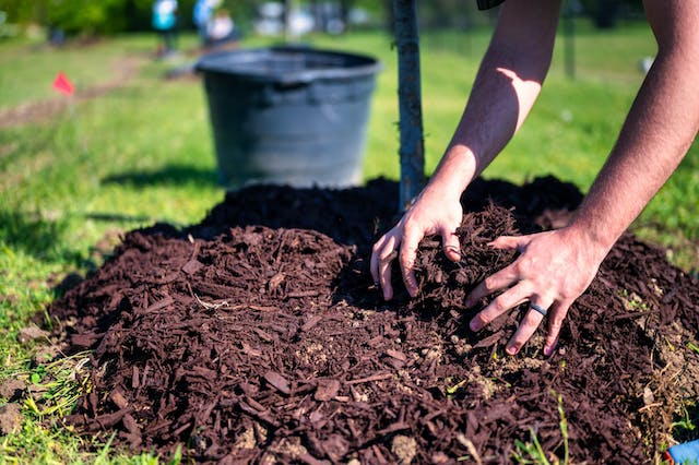 How to Improve and Amend Clay Soil