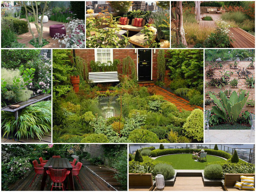 Terrace Garden Ideas